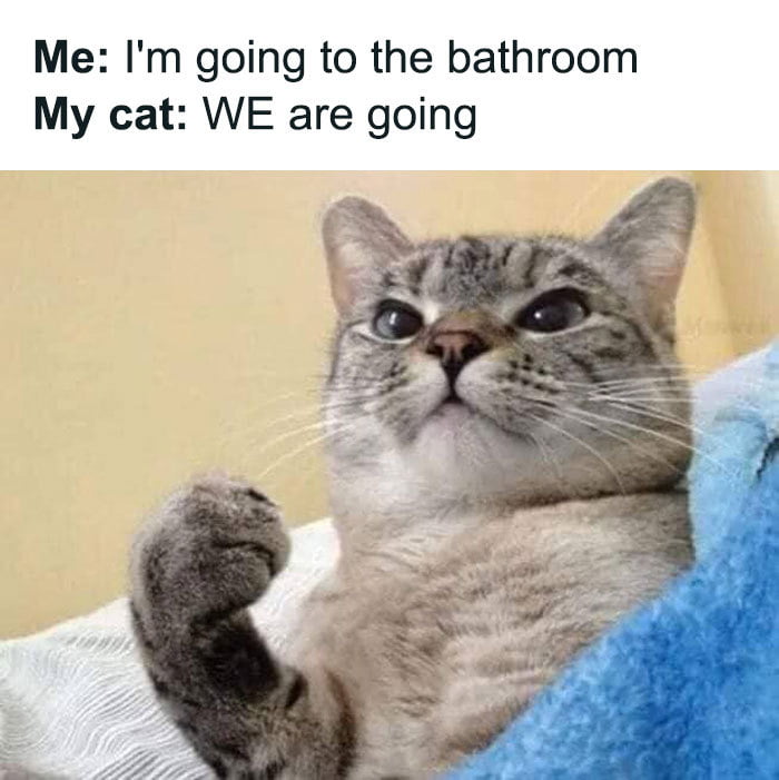 Every damn time