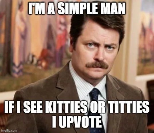 Show me your kitties??!!
