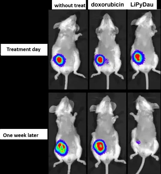 Hungarian researchers create a possible cancer cure after one treatment