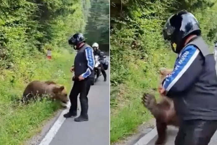 Last photo of an italian roadtripping Romania. Don’t feed the bears should be known by everyone, right?