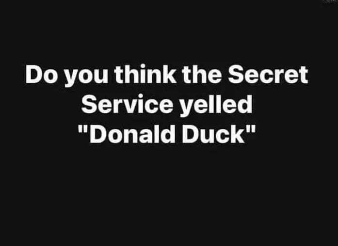 Donald Duck