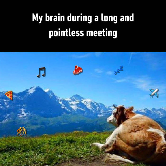 My life