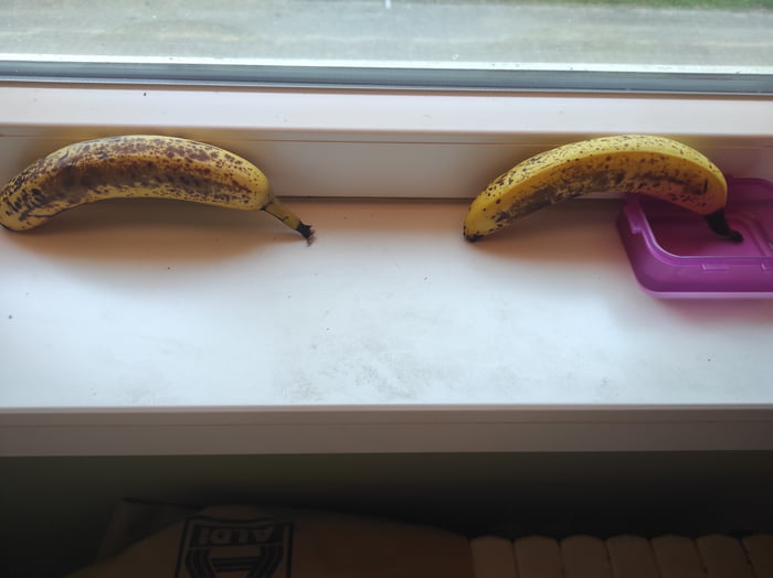 Day 5