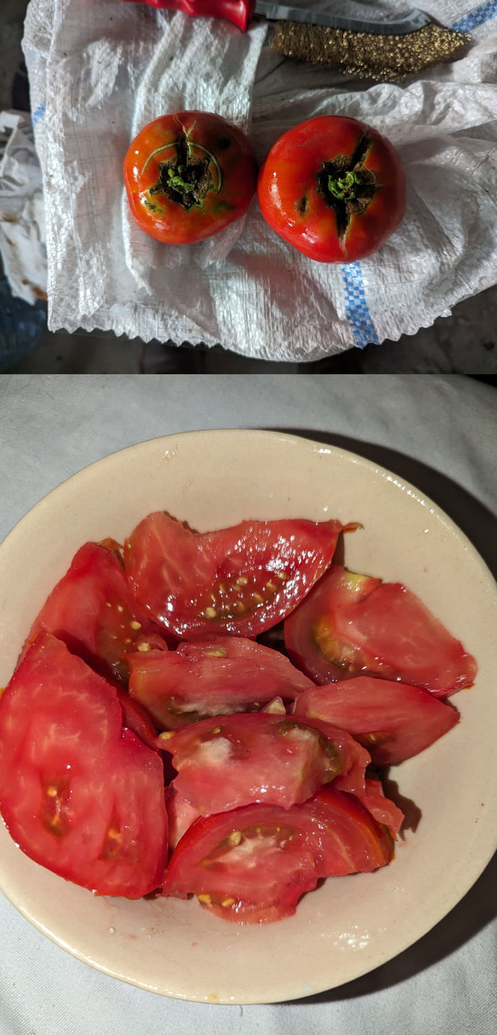 My first tomatoes. They look 5/10 but taste 11/10, sweeeeeet and juicy