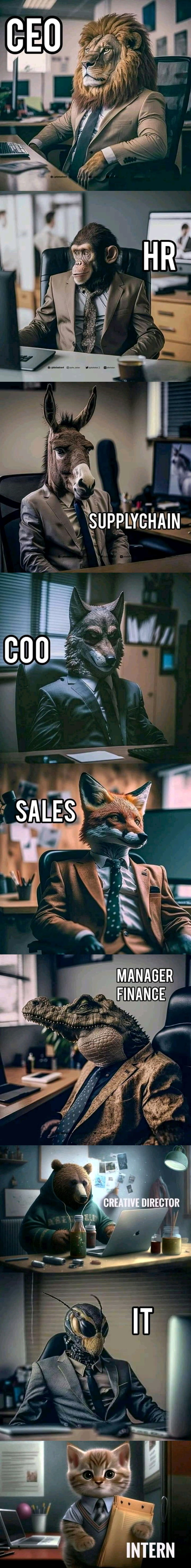 Corporate Zoo