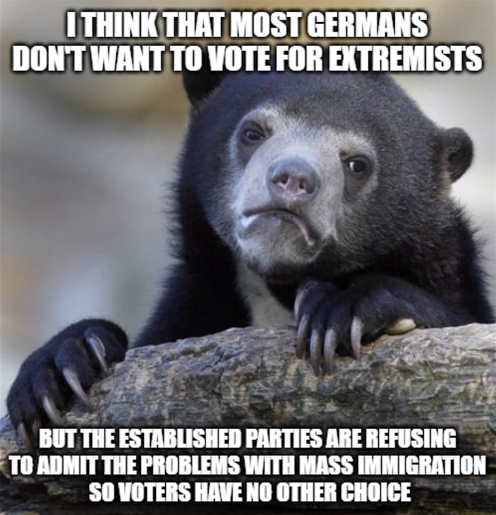 AfD isn't a good choice, but it might be the only choice.