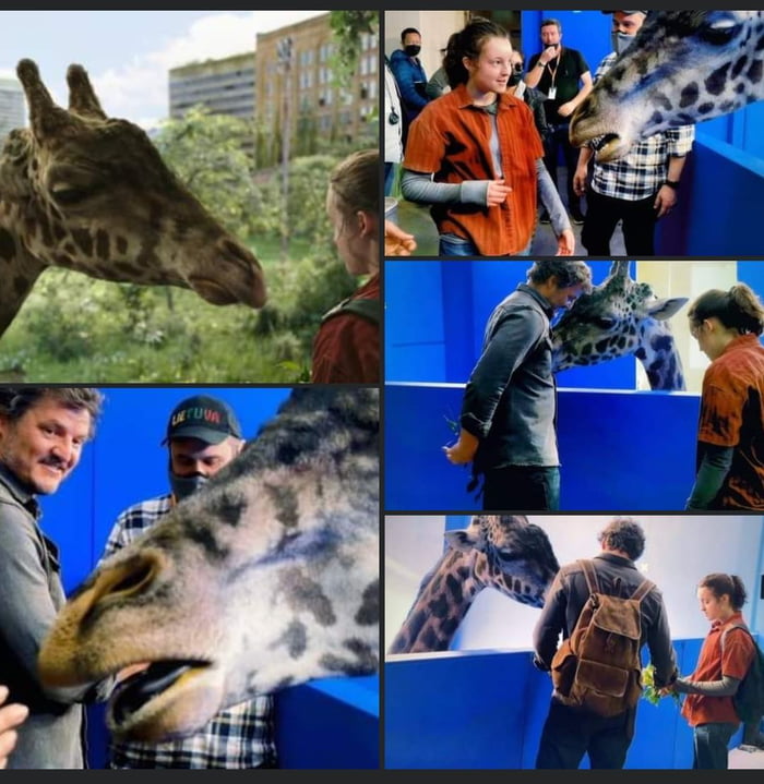 NO JOKE, THE SOCIAL NETWORKS WERE FILLED WITH COMPLAINTS FOR "THE TERRIBLE CGI OF THE GIRAFFE". there will always be morons who complain for free