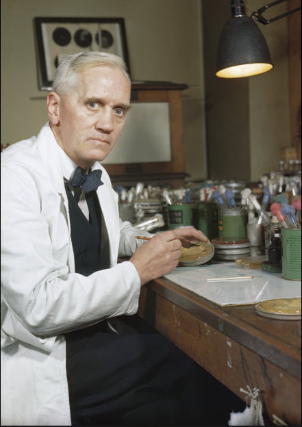 On 6th day of glorious White history month, we remember this white guy, Sir Alexander Fleming , he discovered penicillin and saved over 200 million lives.