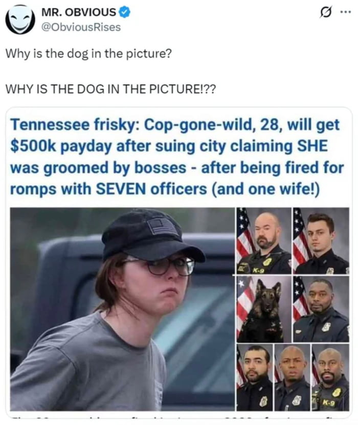 What the dog doin