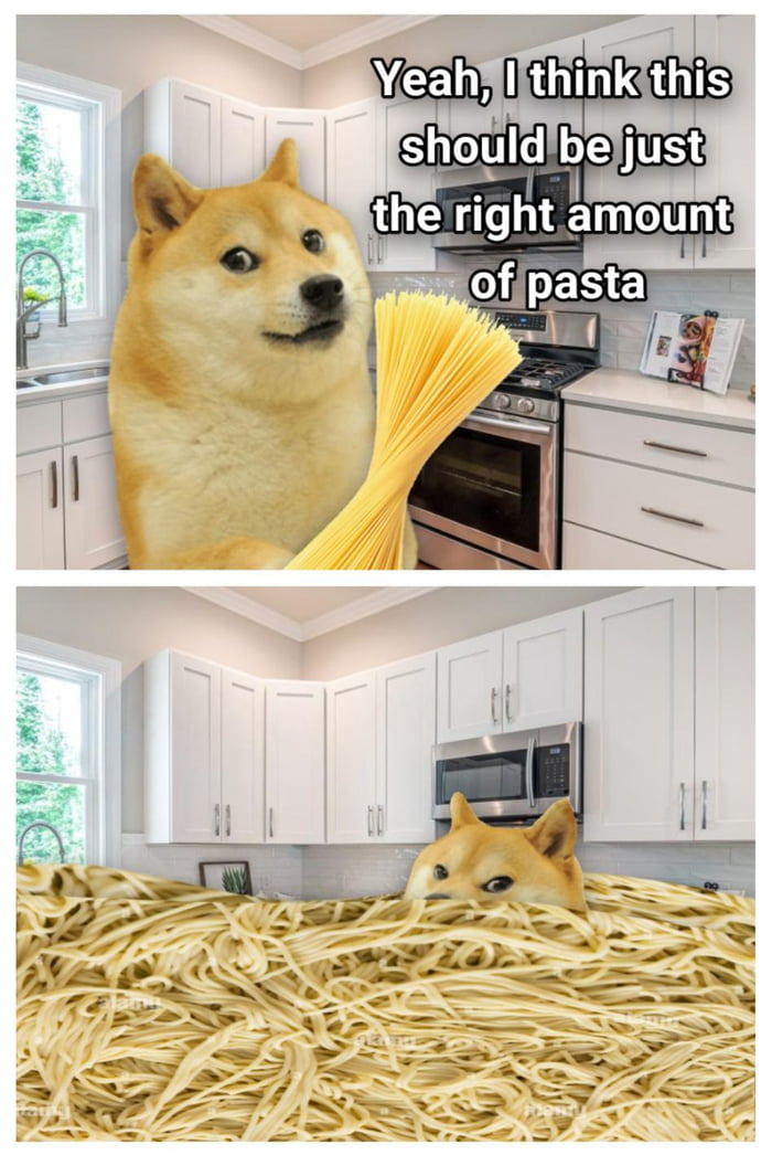 I love spaghetti, but i hate spaghetti