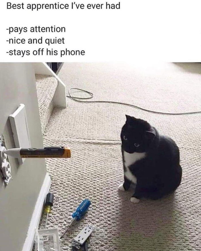 As a tradesman, I can appreciate this.