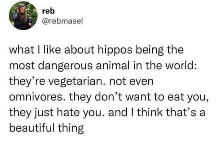 Hippos just out here living their best, hateful, vegetarian lives