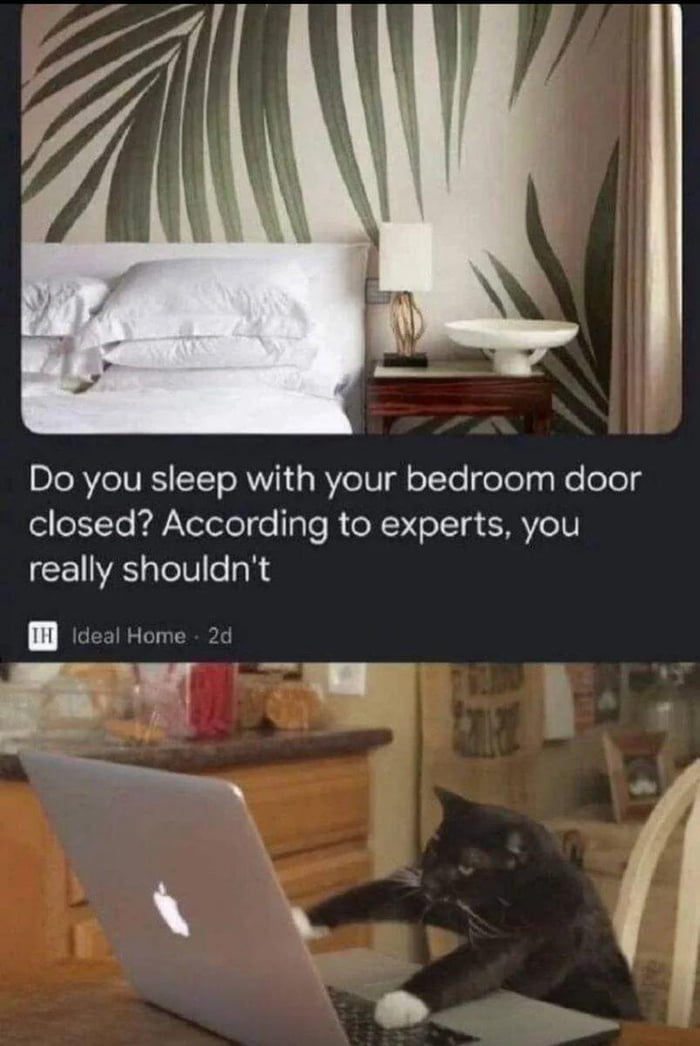 Experts say