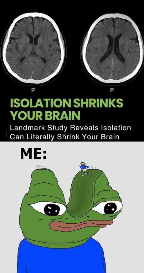 Brain shrink