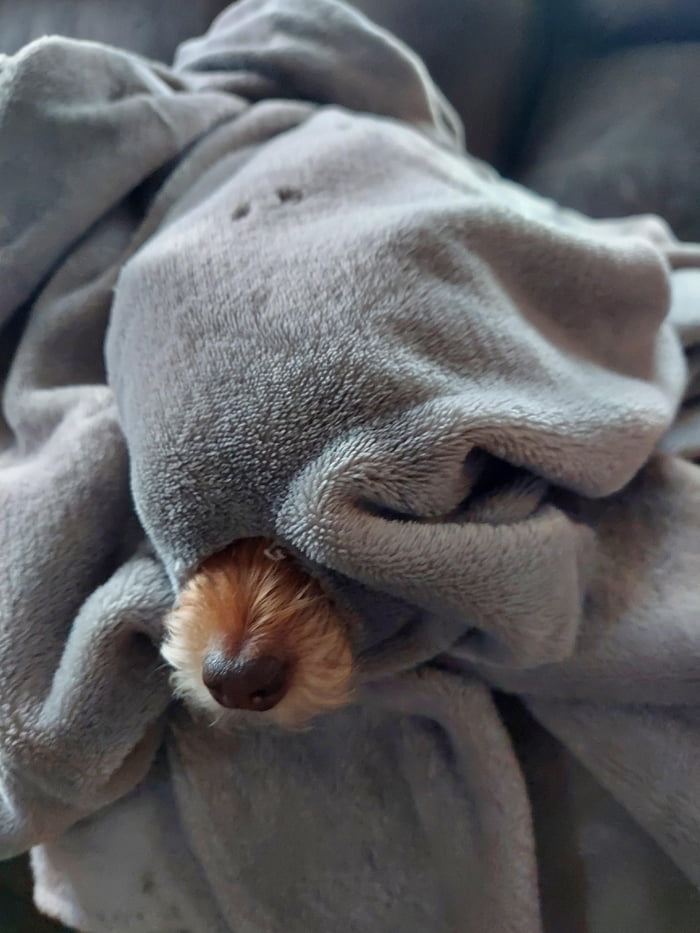She thinks she is so good at hiding.