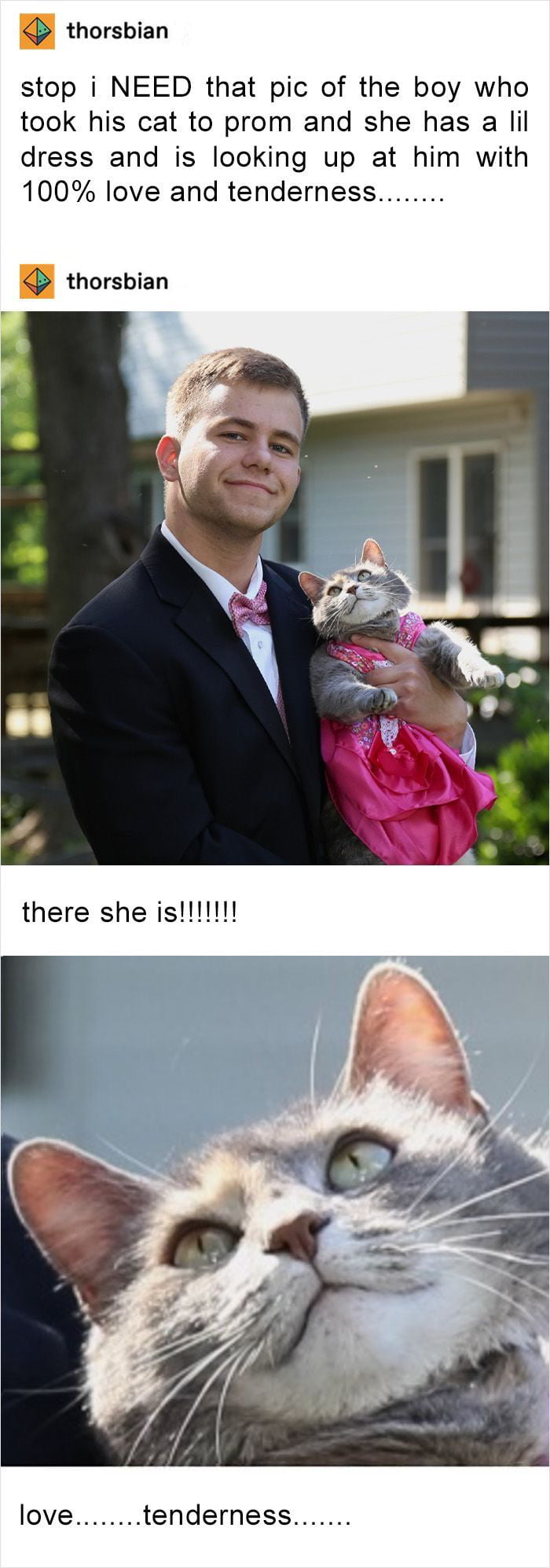 It has to be seen by everyone.