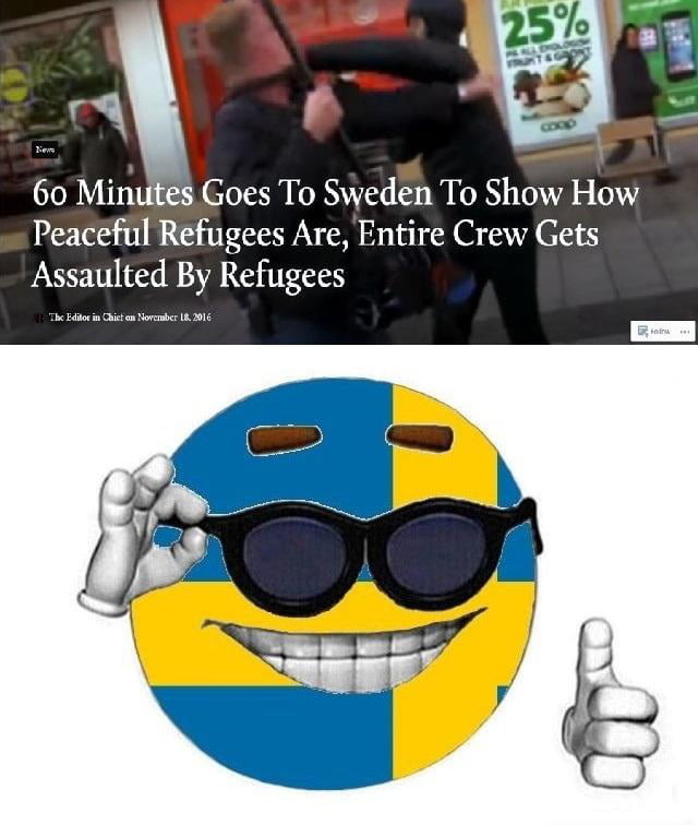 When Democrats Go To Sweden Expecting Their Naivity And Stupidity To Be Valid In The Real World