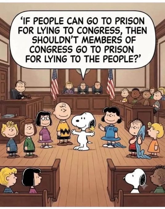 Snoopy gets it
