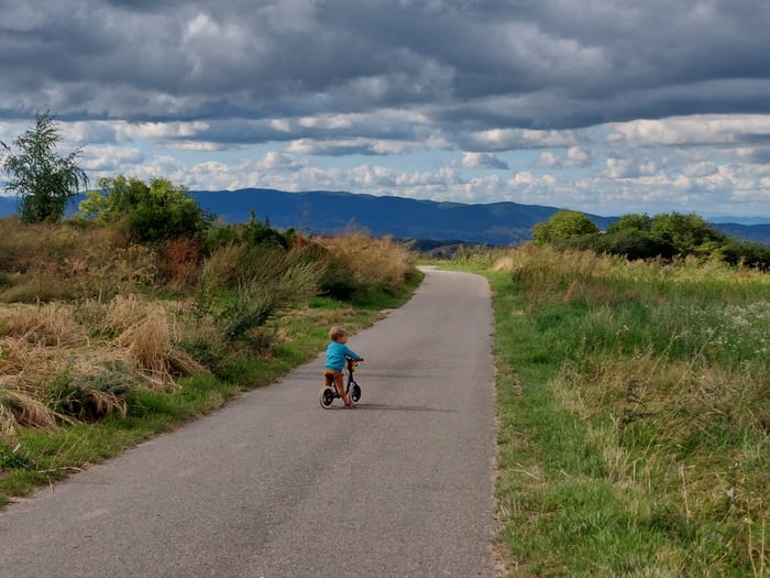 If you are a white farmer from SA and seek refuge in Europe, i can host a family of 3 or 4 in Retezat national park, Romania in a 3 rooms house. Your country is lost, dont risk your life.