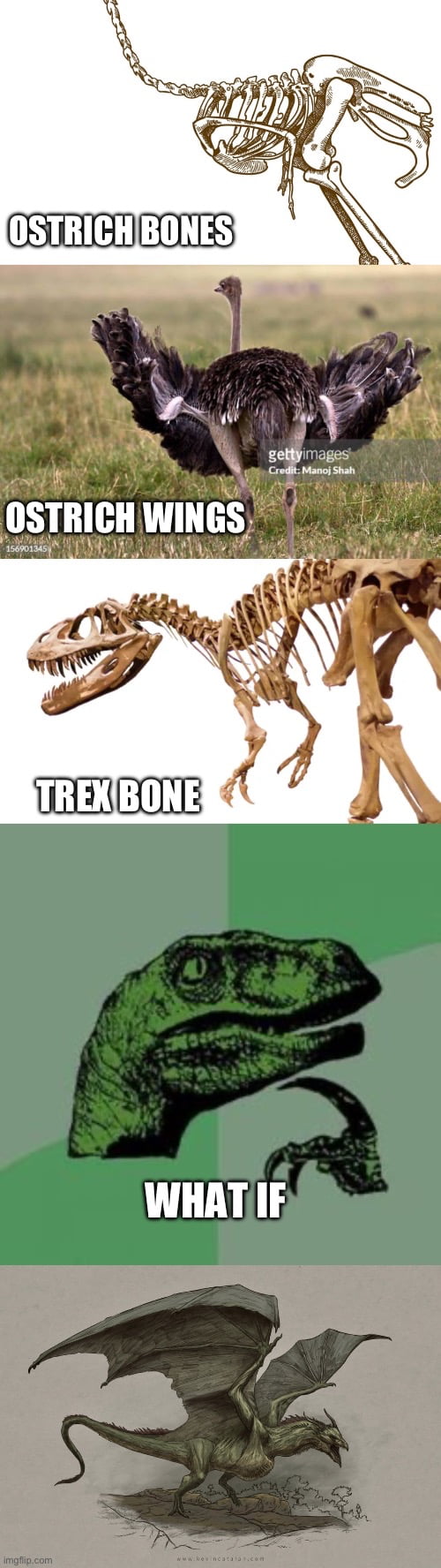 I mean, they confirm dinosaur have feather and is more closer to bird right? And trex is closer to chicken right?