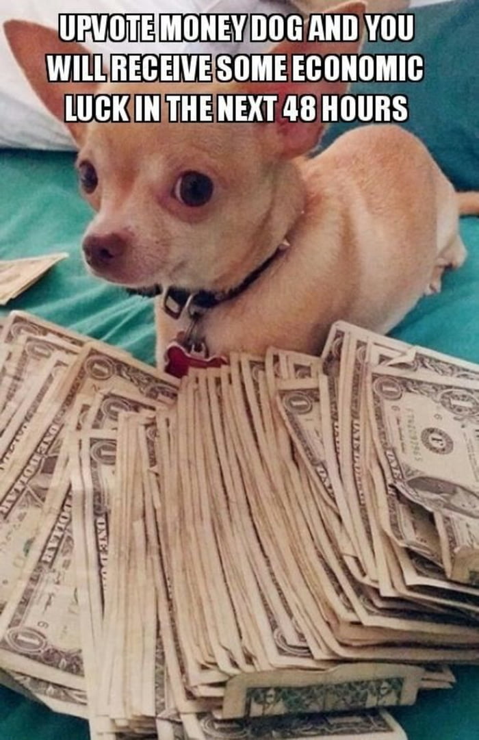 Here is some money and luck
