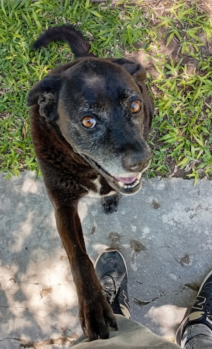 This is Olivia. Ver said she wouldn't make it for one more year since she has cancer. That was 5 years ago, she turned 16 today, she beat that b*tch ass cancer. Happy birthday to the bestest of girls.