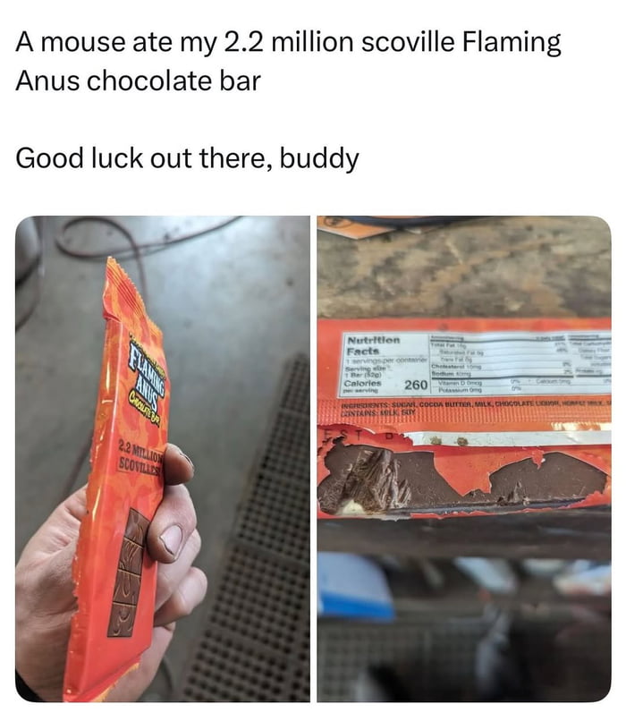 RIP little guy, you will be missed