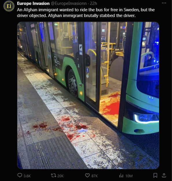 Make Sweden Swedish Again!