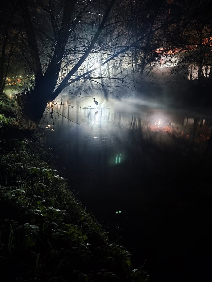 A Picture i took on the way to my workplace.