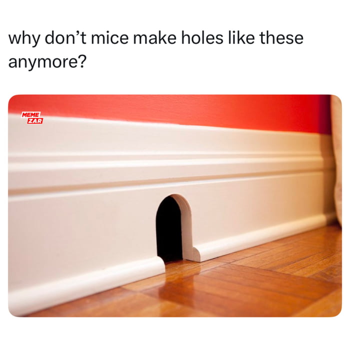 Asking the important questions about interior design trends for rodents.
