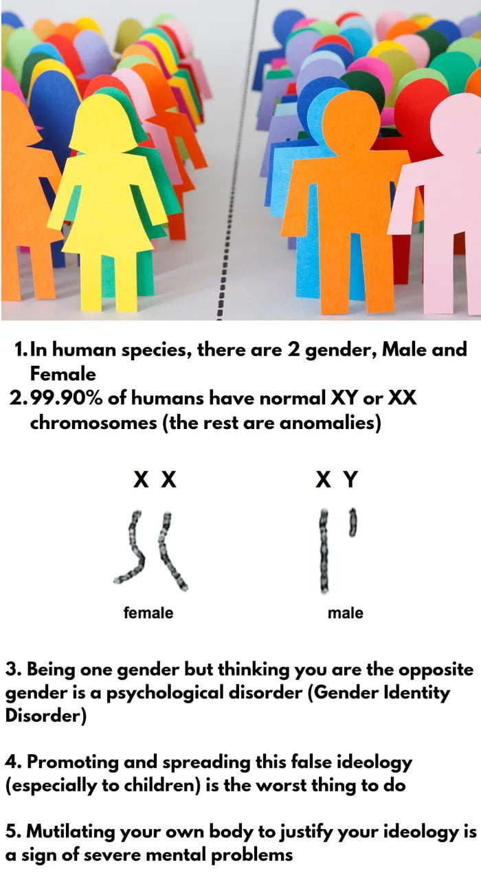 Triggered trans in the comments