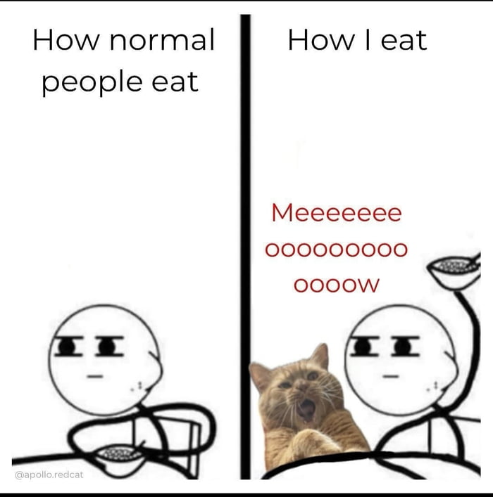 My catto is sometimes a stress buster & sometimes pure chaos