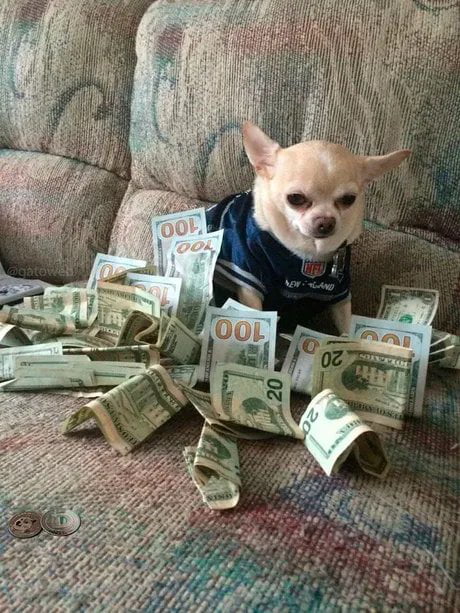 This is money dog, upvote and money will find you in the next 24 hours.