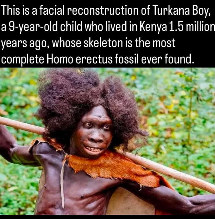 Turkana Boy