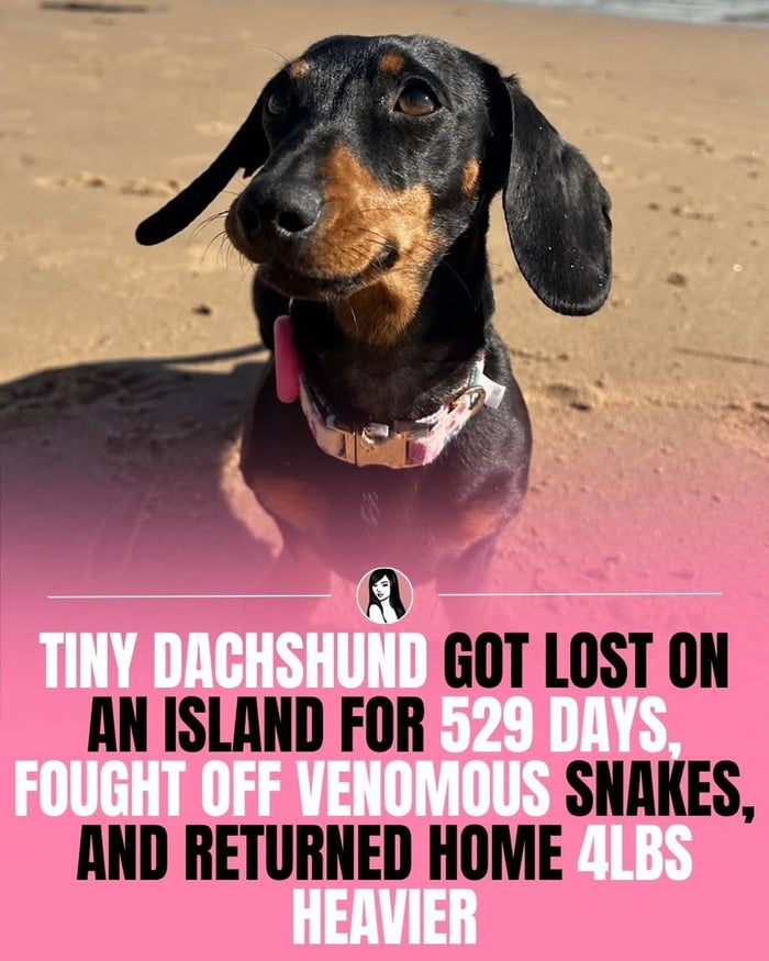 Absolute legend living her best island life
