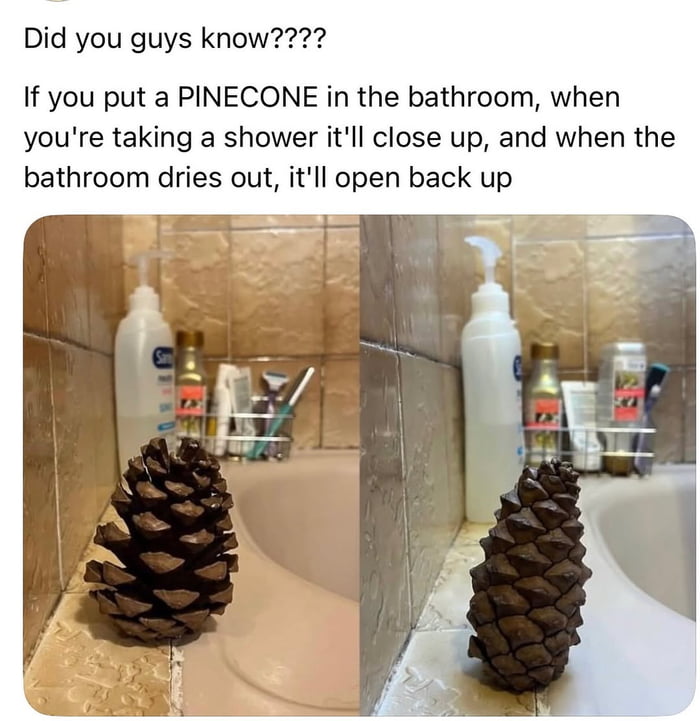 Mind blown, gotta try this