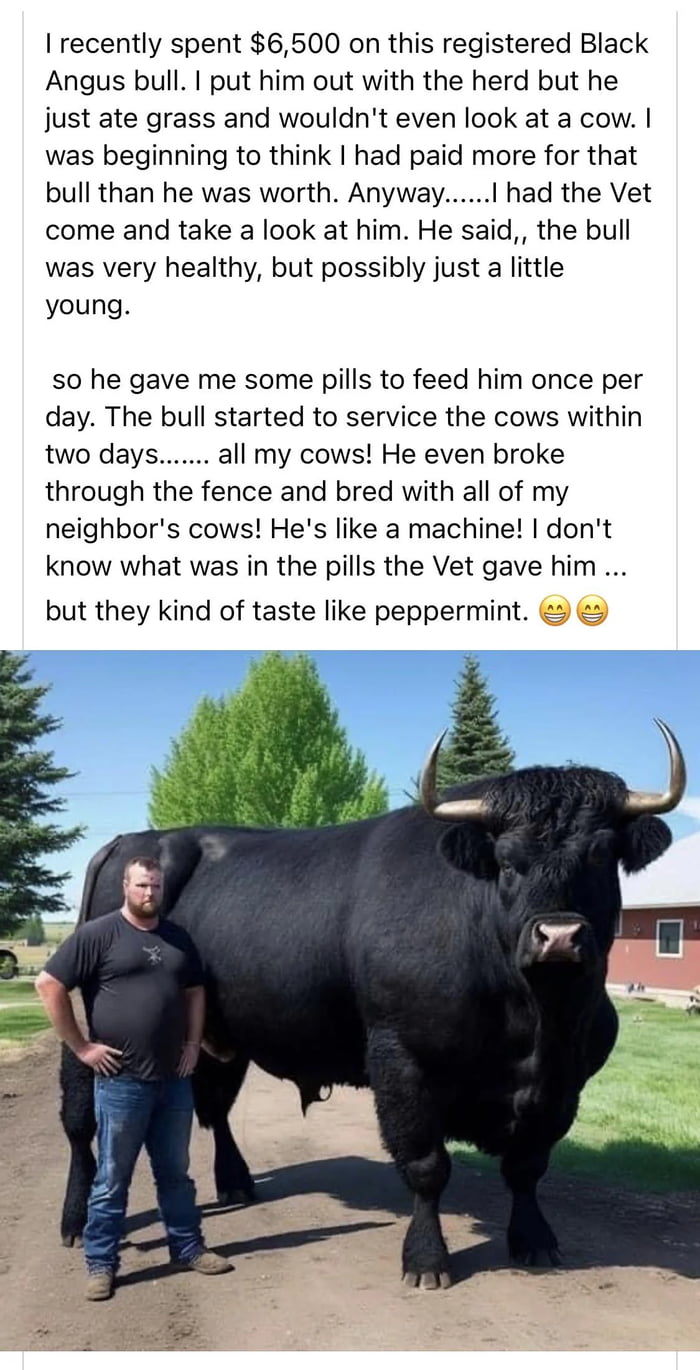 Balsy and big boy, bangers of doom