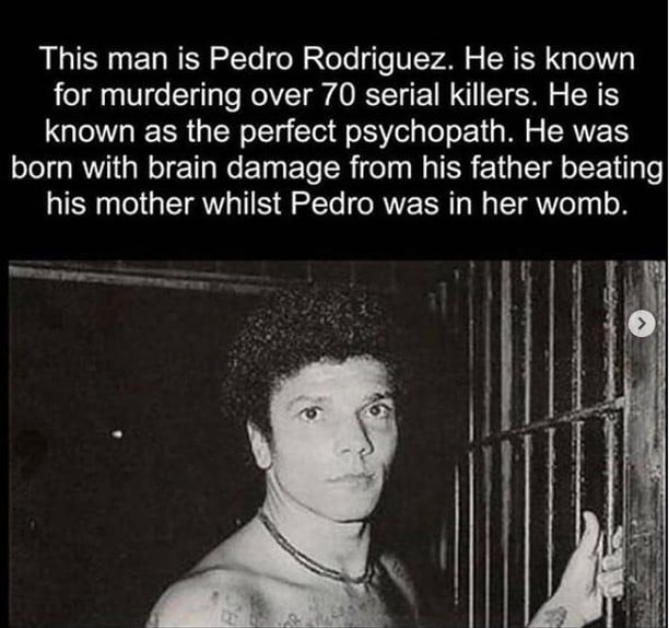 This serial killer kills serial killers!