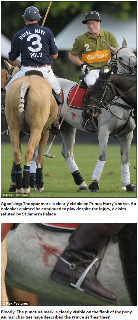 From 2010: Harry stabs his horse with his spurs. Earlier that same year, a pony he rode died by heart attack