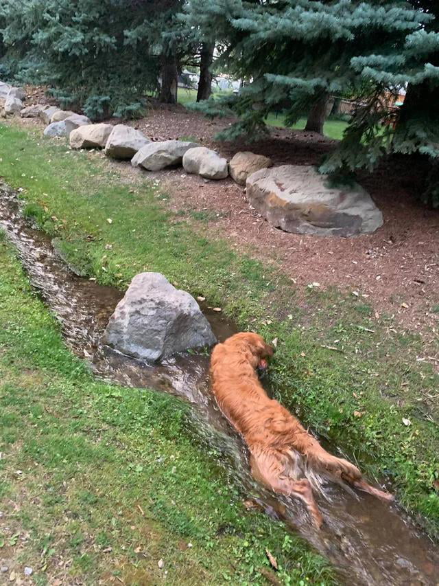 Don't need an ocean to chill