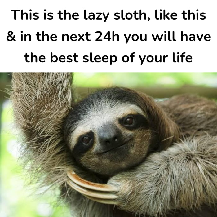Have a good sleep