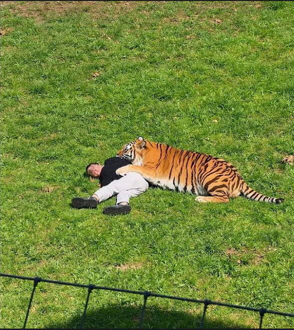 When your cat pets you