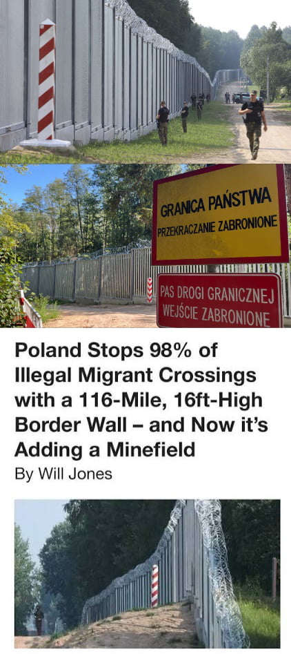 Poland completes Germany border wall to keep doctors and engineers out