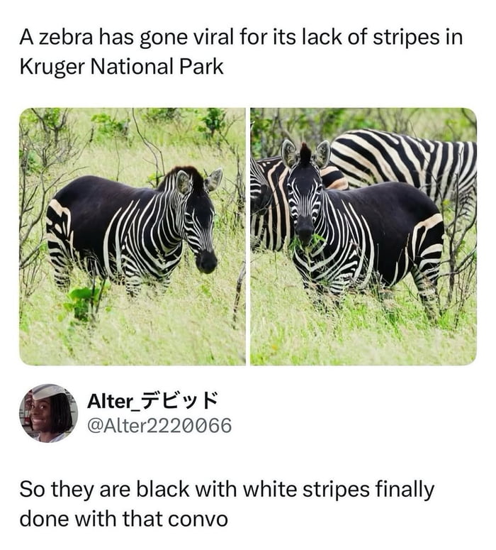 The debate is officially over