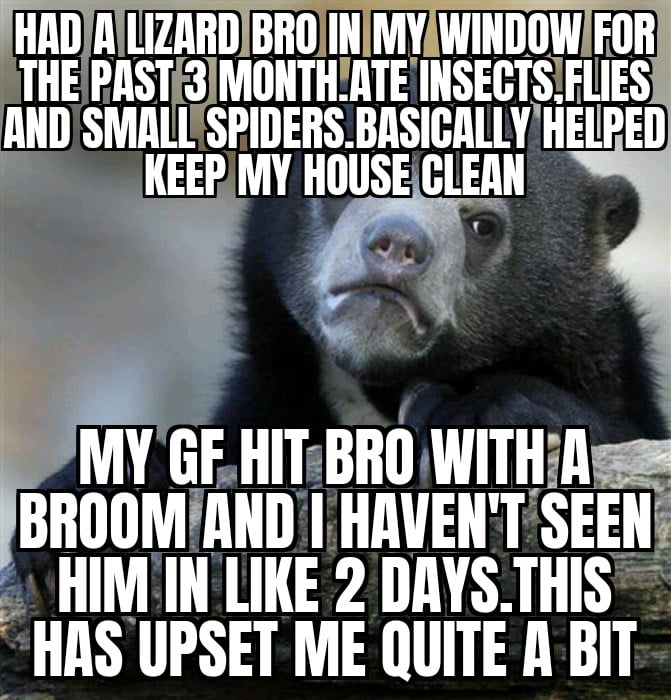 I hope lizard bro is ok