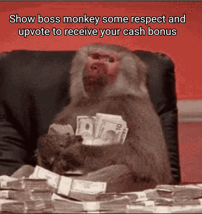 Monkey is waiting
