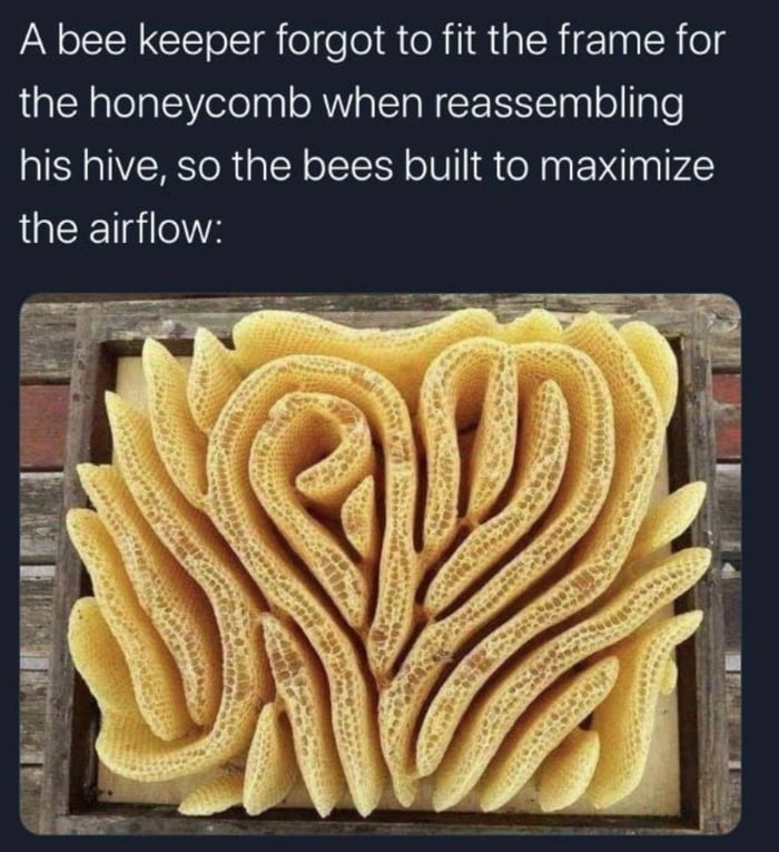 Beeing smart, beeing cool