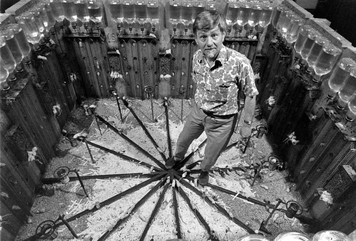 Universe 25, the most brutal experiment ever, predicated what's happening in the developed countries nowadays.