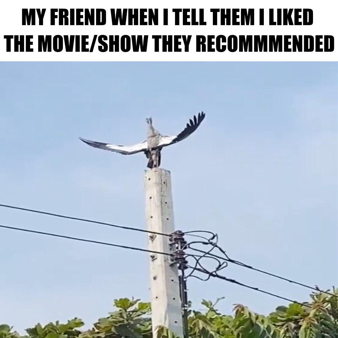 Thou shalt worship me