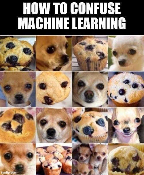 Want to mess with Machine Learning?